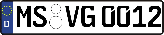 MS-VG0012