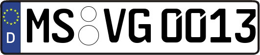 MS-VG0013