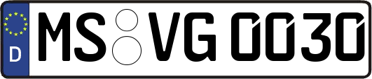 MS-VG0030