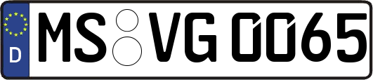 MS-VG0065