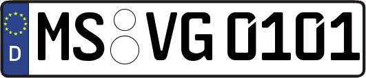 MS-VG0101