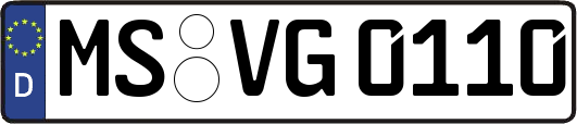 MS-VG0110