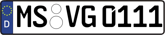 MS-VG0111