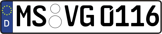 MS-VG0116