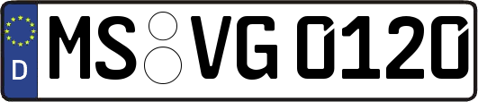 MS-VG0120
