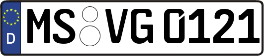 MS-VG0121
