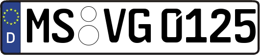 MS-VG0125