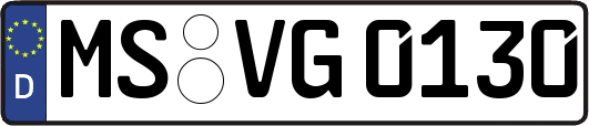 MS-VG0130