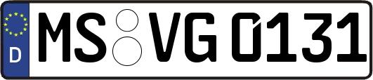 MS-VG0131