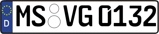 MS-VG0132