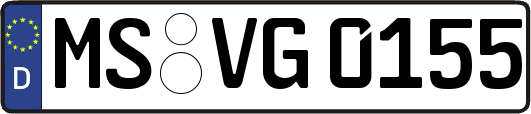 MS-VG0155