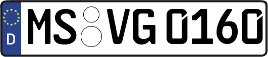MS-VG0160