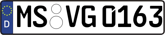 MS-VG0163