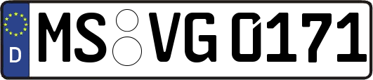 MS-VG0171