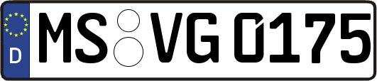 MS-VG0175