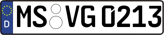 MS-VG0213