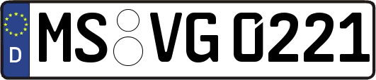 MS-VG0221