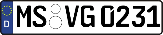 MS-VG0231