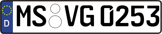 MS-VG0253