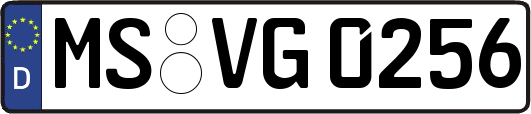 MS-VG0256