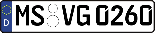 MS-VG0260