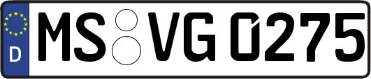 MS-VG0275