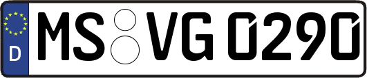 MS-VG0290
