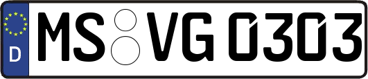 MS-VG0303