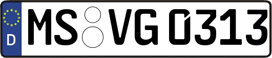 MS-VG0313
