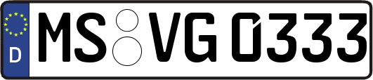 MS-VG0333