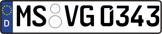 MS-VG0343