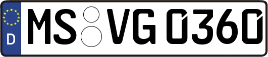MS-VG0360