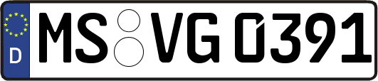 MS-VG0391