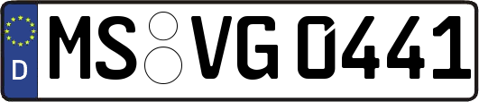 MS-VG0441