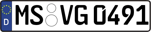 MS-VG0491