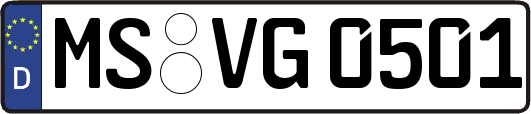 MS-VG0501