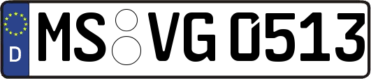 MS-VG0513