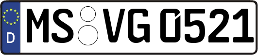 MS-VG0521