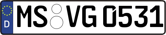 MS-VG0531