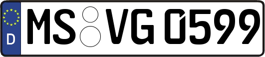 MS-VG0599