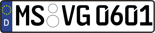 MS-VG0601