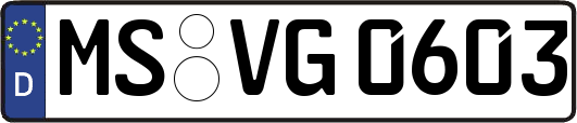 MS-VG0603