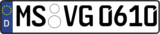 MS-VG0610