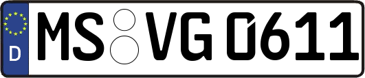 MS-VG0611