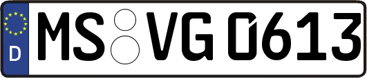 MS-VG0613