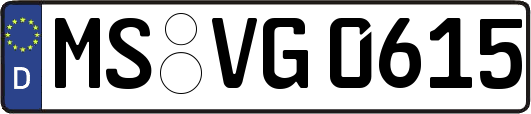 MS-VG0615