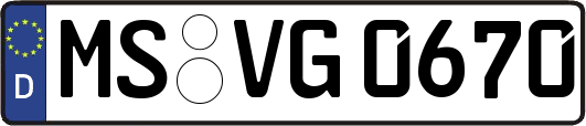 MS-VG0670
