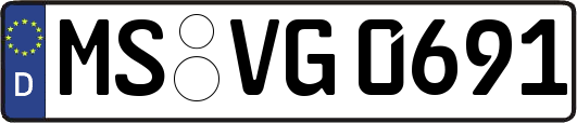 MS-VG0691