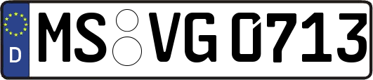 MS-VG0713