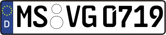 MS-VG0719